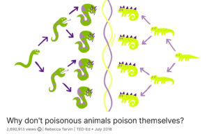 Why don't poisonous animals poison themselves? | Rebecca Tarvin | TED-Ed July 2018